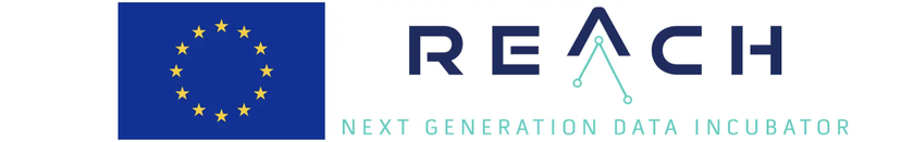 REACH incubator programma logo