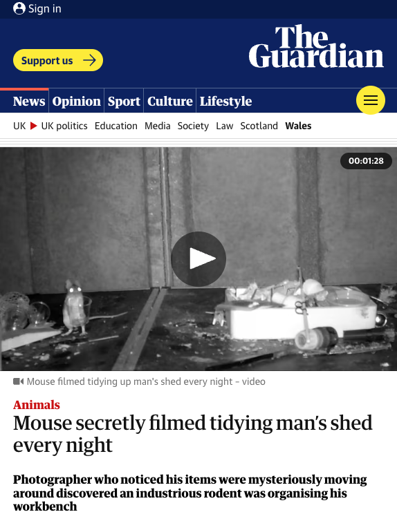 Mouse, the guardian