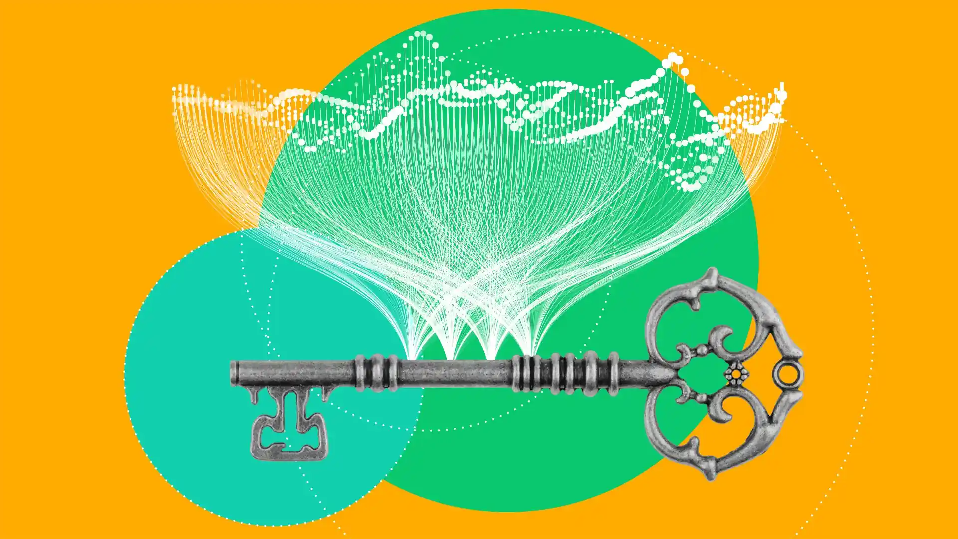 Data is the key to growth